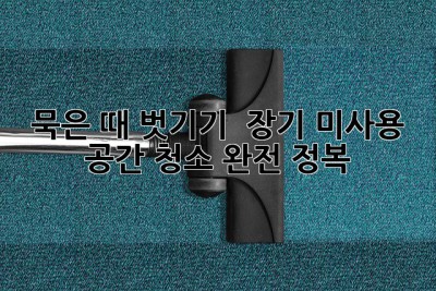 묵은 때 벗기기 ✨ 장기 미사용 공간 청소 완전 정복!