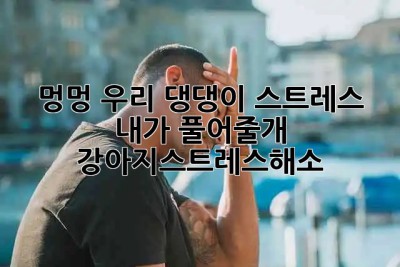 🐶 멍멍! 우리 댕댕이 스트레스, 내가 풀어줄개! #강아지스트레스해소