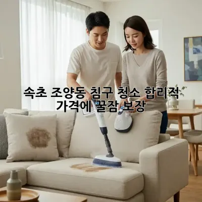 속초 조양동 침구 청소✨ 합리적 가격에 꿀잠 보장! 😴
