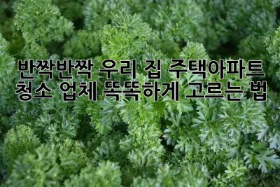 ✨반짝반짝 우리 집✨ 주택/아파트 청소 업체 똑똑하게 고르는 법! 🏡