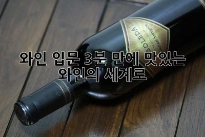 와인 입문: 3분 만에 맛있는 와인의 세계로!🍷