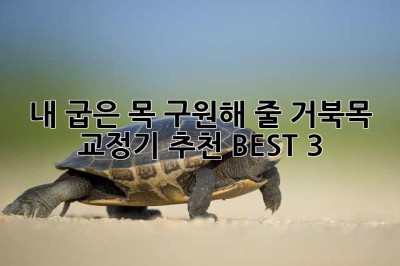내 굽은 목, 구원해 줄 거북목 교정기 추천 BEST 3!