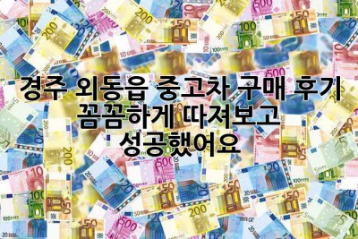 경주 외동읍 중고차 구매 후기: 꼼꼼하게 따져보고 성공했어요! 💯