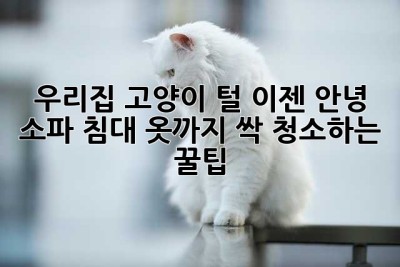 우리집 고양이 털, 이젠 안녕! 😹 소파, 침대, 옷까지 싹 청소하는 꿀팁