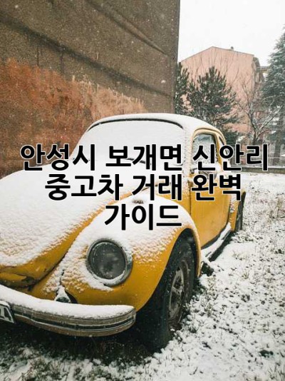 안성시 보개면 신안리 중고차 거래 완벽 가이드