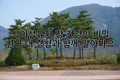 식이섬유환, 장 건강의 비밀 친구? 내 경험과 함께 알아봐요!