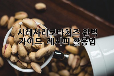 시레사리코타치즈🧀 완벽 가이드 & 레시피🍯 활용법