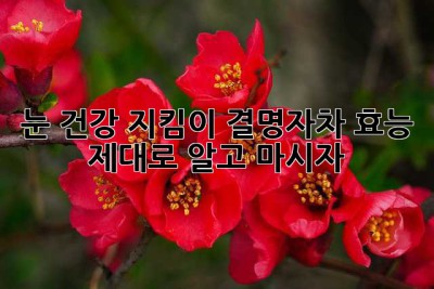눈 건강 지킴이, 결명자차 효능 제대로 알고 마시자!