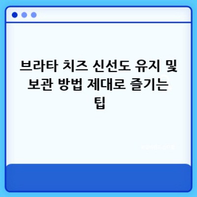 부드러운 유혹, 브라타 치즈 완벽 가이드