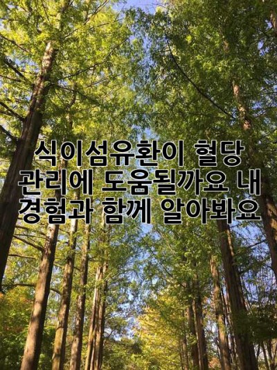 식이섬유환이 혈당 관리에 도움될까요? 내 경험과 함께 알아봐요!