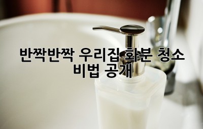 ✨반짝반짝🌱 우리집 화분 청소 비법 공개!✨