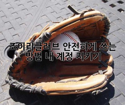 조이리글러브 안전하게 쓰는 방법, 내 계정 지키기!