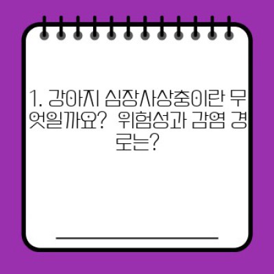 내 강아지, 심장사상충 예방과 치료 완벽 가이드: 증상, 예방법, 치료법 총정리