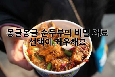 몽글몽글 순두부의 비밀, 재료 선택이 좌우해요!