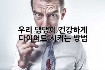 우리 댕댕이, 건강하게 다이어트 시키는 방법🐶