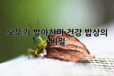 오뚜기 발아현미, 건강 밥상의 비밀? 🤔