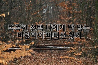 똑똑한 선택! 나에게 딱 맞는 바람막이 파티션 찾기