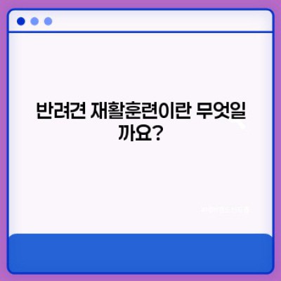 반려견 재활훈련: 건강한 삶으로의 귀환, 완벽 가이드