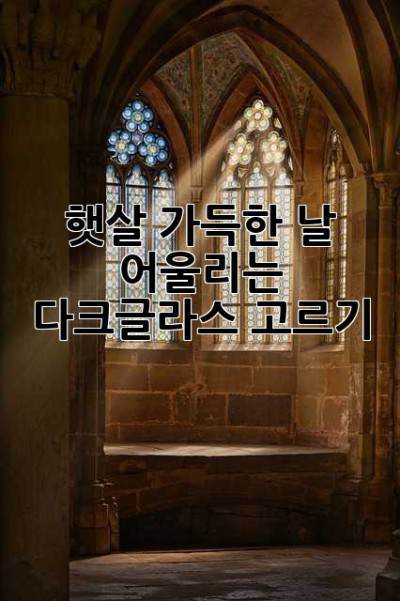 햇살 가득한 날, 어울리는 다크글라스 고르기 😎