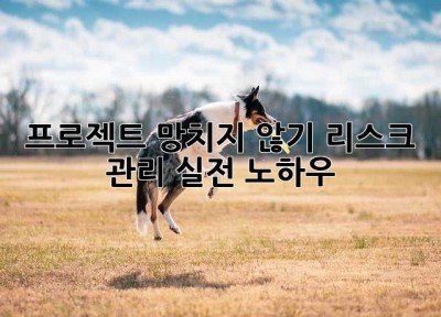 프로젝트 망치지 않기: 리스크 관리 실전 노하우