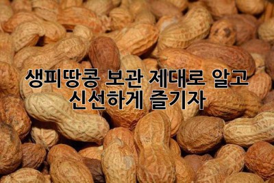 생피땅콩 보관, 제대로 알고 신선하게 즐기자!🥜