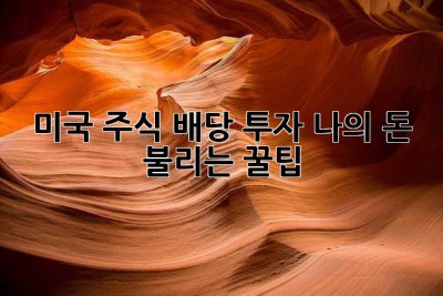 미국 주식 배당 투자: 나의 돈 불리는 꿀팁🍯
